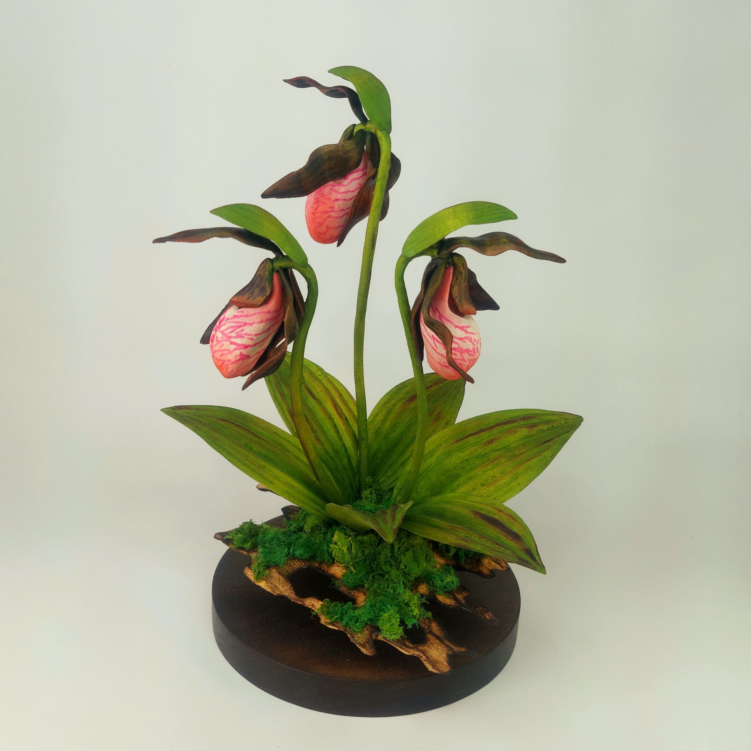 Adam McNamara – Ladyslipper