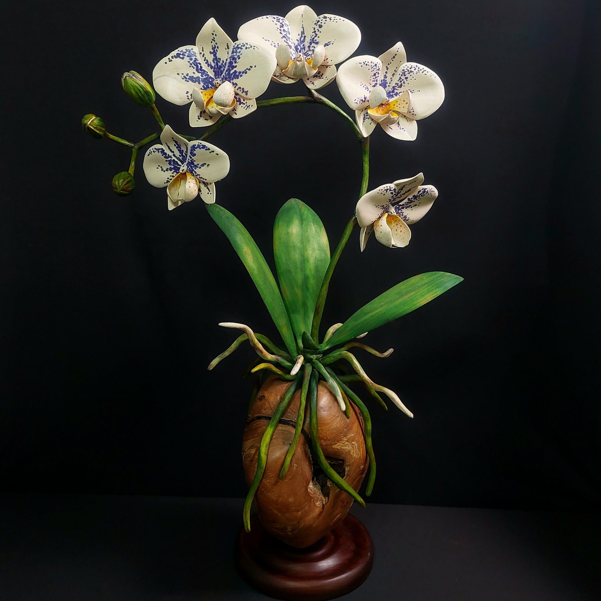 Adam McNamara – Orchid