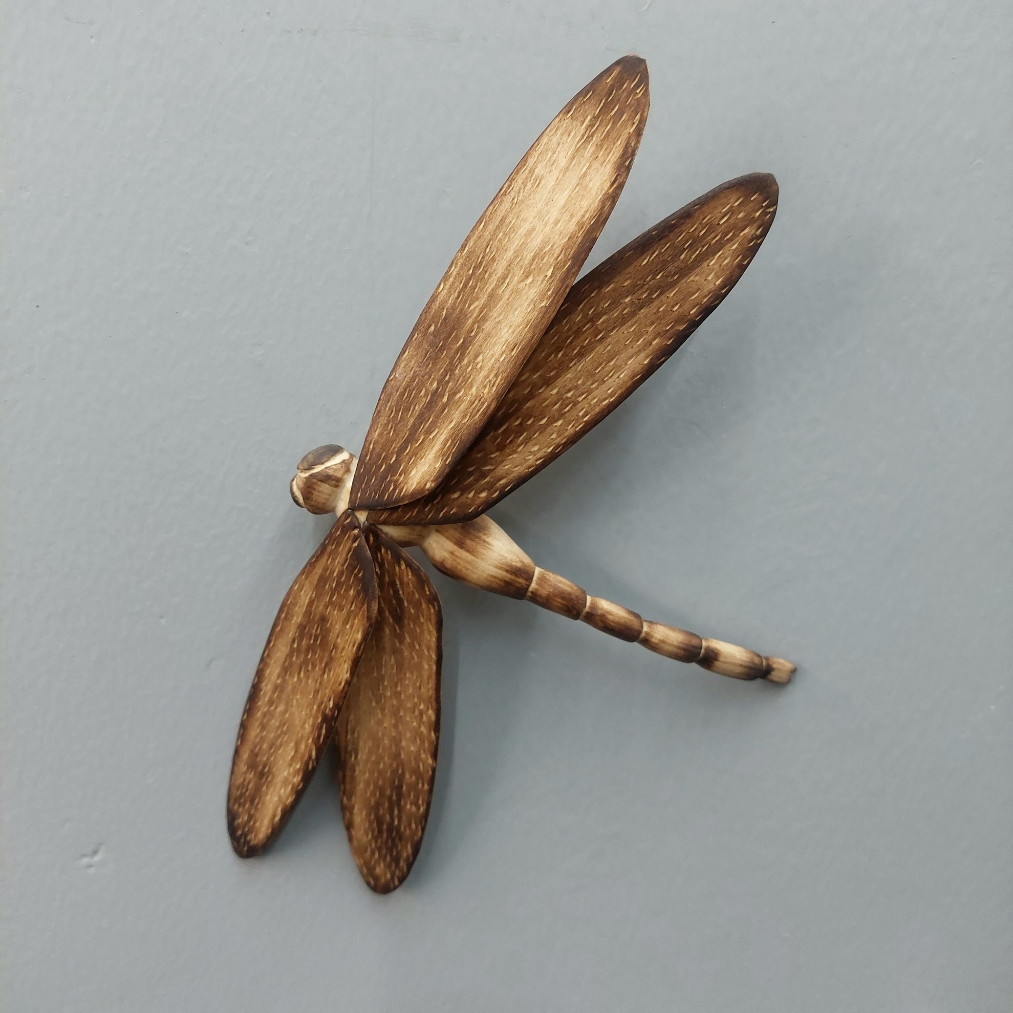 Adam McNamara – dragonfly project