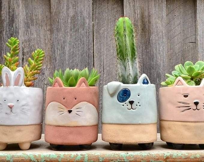 0511466b4685b9e9368218db2258ccf1