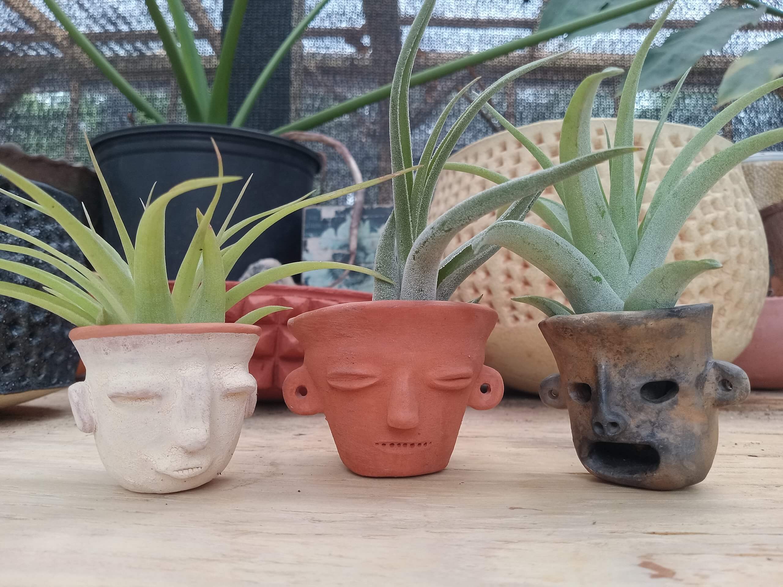 20230318_152545-scaled