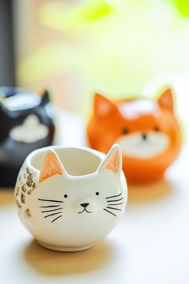 b97ed90c4e9df4de67dca6c64516037e